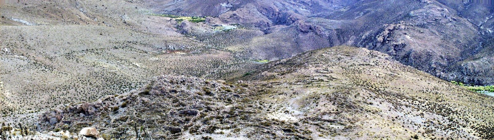 Panorama de las laderas alrededor del Pucará de Saxamar