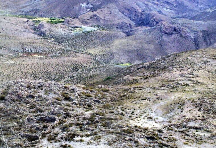 Cultivar en Saxamar: conocimiento, agua y paciencia