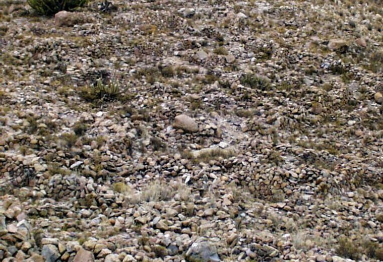 Pucará de Saxamar: piedra y memoria en la precordillera